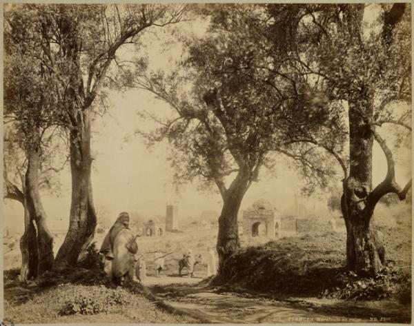 Tlemcen. Marabouts en ruines (Image de propagande coloniale)