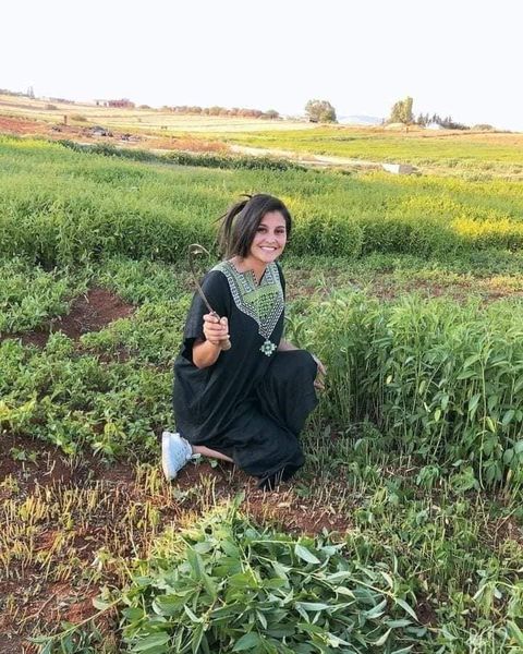 سوق اهراس: شابة طموحة إستثمرت في الفلاحة بمشروع صغير في إنتاج الملوخية