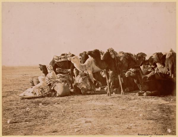 Caravane au Sahara (Image de propagande coloniale)