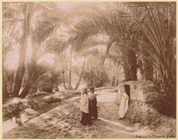 Intérieur de l'Oasis de Biskra (Image de propagande coloniale)