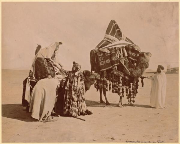 Femmes arabes en voyage au desert [Bassour] (Image de propagande coloniale)