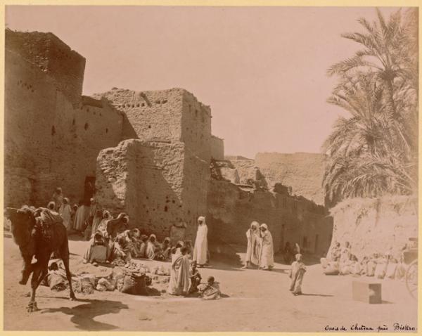 Oasis de Chetma près Biskra (Image de propagande coloniale)