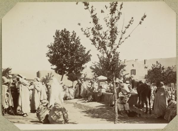 Algérie. Marché d'Ammi-Moussa. L'abreuvoir (Image de propagande coloniale)
