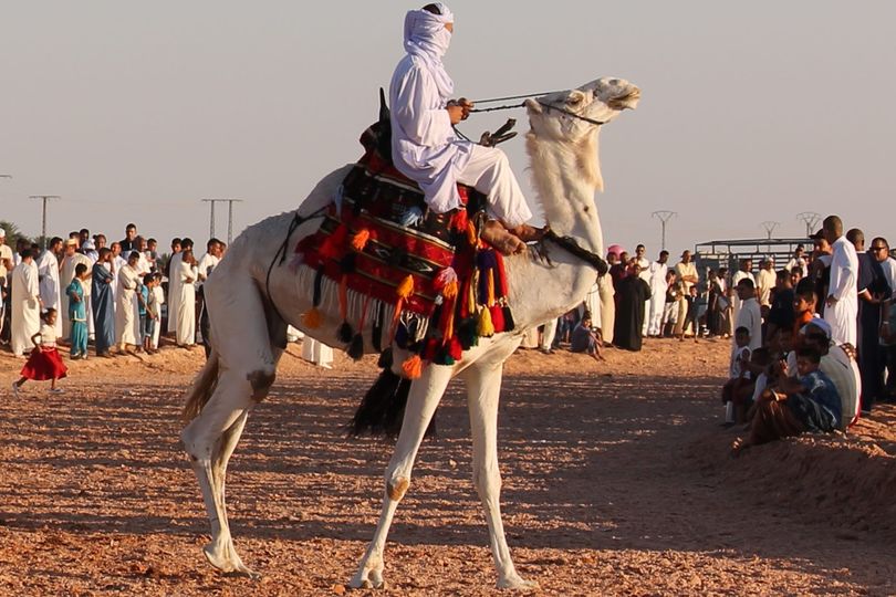 استعراض المهارى والفنطازيا بورقلة