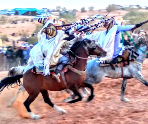 وعدة العاڤر اولاد سرور البيوض ولاية النعامة