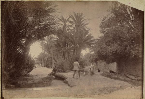 Environ[s] de Biskra (Image de propagande coloniale)