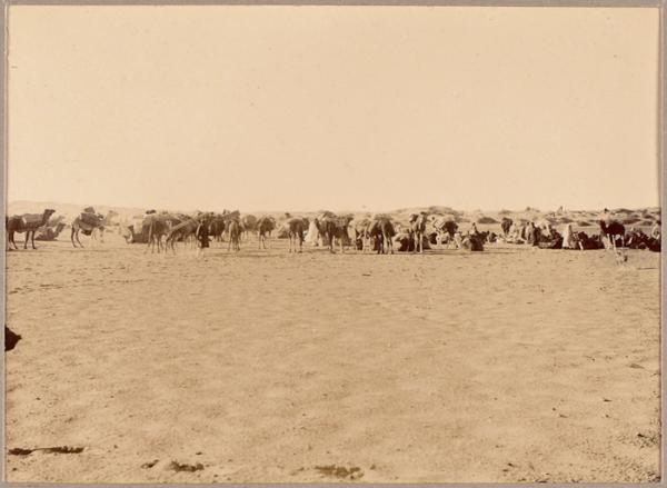 Arrivée du convoi au camp. [Mission Flamand'] (Image de propagande coloniale)