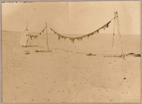 Sahara. Séchage de la viande de chameau (Image de propagande coloniale)