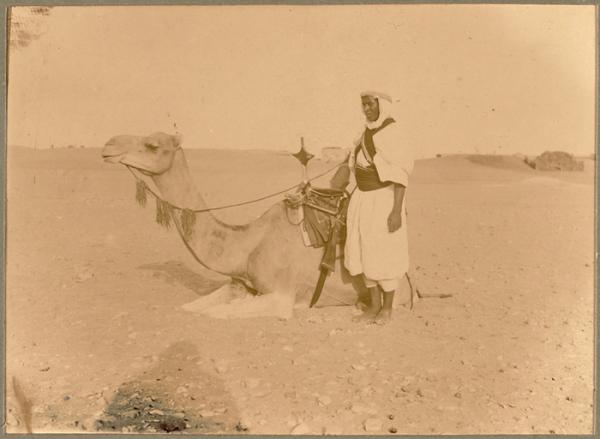 [Méhariste et son chameau] (Image de propagande coloniale)