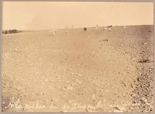 A la recherche de silex taillé près d'Hassi-Inifel [Mission Flamand-Pein 1899-1900] (Image de propagande coloniale)