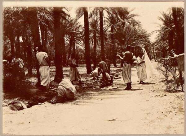 [Femmes dans un oasis du sud de l'Algérie. El Goléa'] (Image de propagande coloniale)