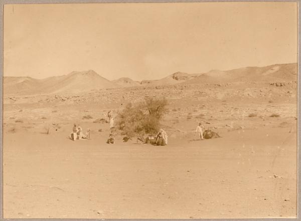 Dans l'Oued In Sohki (Image de propagande coloniale)