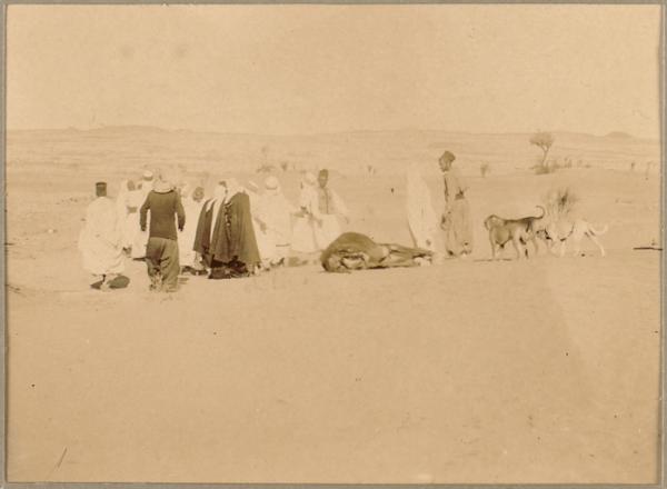 Enterrement de l'âne du détachement. [A] Inifel. (Image de propagande coloniale)