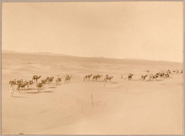 Un convoi dans l'Erg [Mission Flamand '] (Image de propagande coloniale)