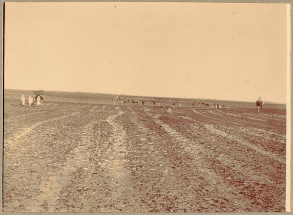 Un convoi dans la hamada (Image de propagande coloniale)