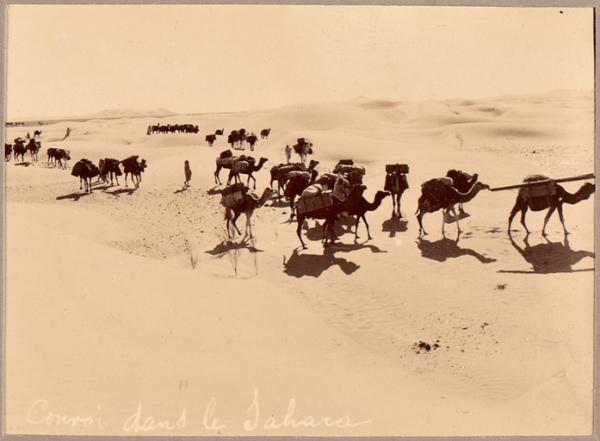 Convoi dans le Sahara [Colonne militaire du Tidikelt'] (Image de propagande coloniale)
