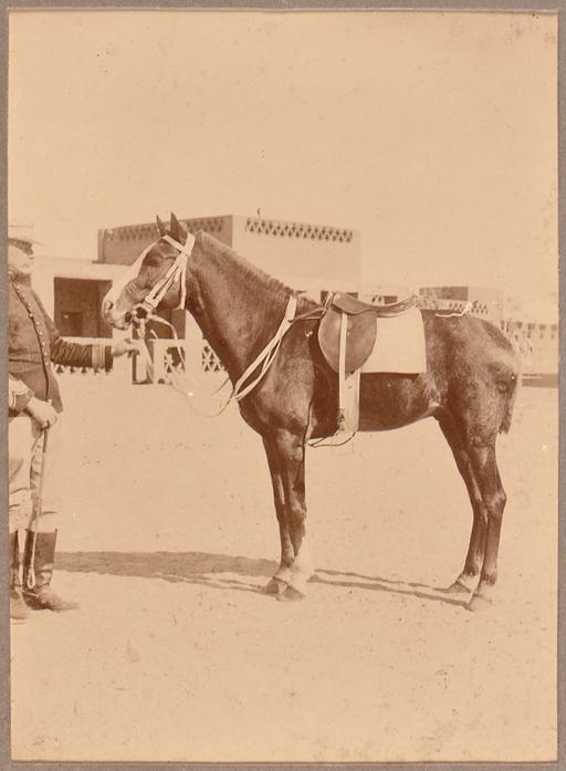 Masson et son cheval Patin (Image de propagande coloniale)