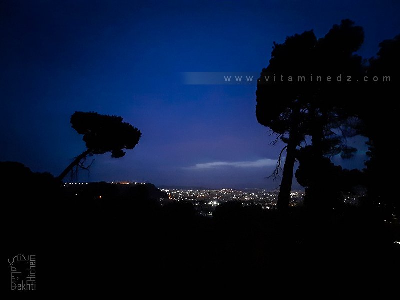 La nuit tombée à la foret de Tlemcen ...