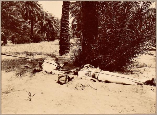 Morts au champ d'honneur. Combat d'In-Rhar.[19 mars 1900] Le commandant Gos et le ['] (Image de propagande coloniale)