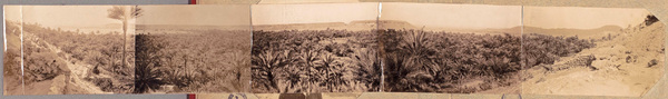 Occupation de Béni-Abbès (Sahara) décembre 1901-novembre 1902. Panorama de la palmeraie. (Image de propagande coloniale)