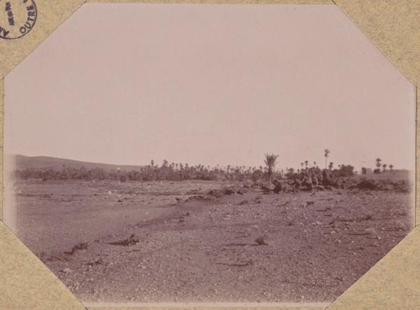 L'oasis de Fendi (Image de propagande coloniale)