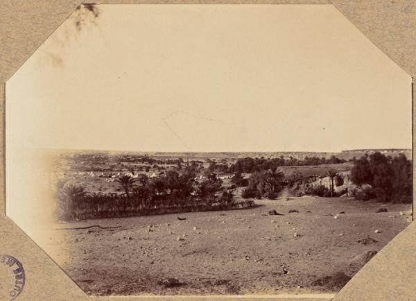 Mazzert. Vue du camp de la palmeraie (Image de propagande coloniale)