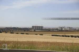 La ville de Sidi Belabbes entre modernité et tradition agricole