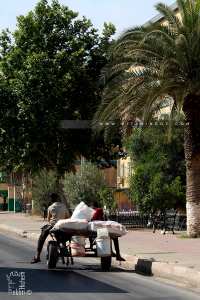 L'ane cet animal très utile