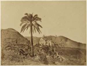 Kouba à Bou-Zaréa (Alger) (Image de propagande coloniale)