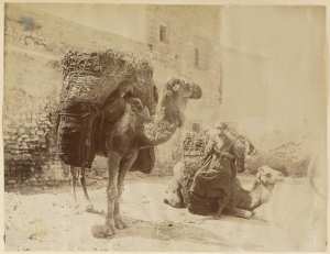 [Caravane] (Image de propagande coloniale)