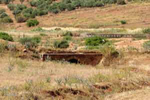 Un pont en pierre complètement abandonné du coté de Zemmoura