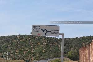 Fôret de Zemmoura (Relizane)