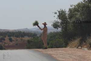 Nounkha en vente sur la route de Zemmoura