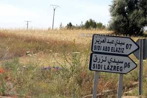 Douar de Sidi Abdelaziz