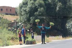 Vente de Nounkha à Douar Chehairia