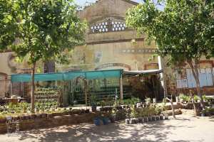 Horticulteur au Douar Kennanda (Sidi Lazreg, Relizane)