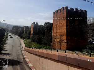 Enceintes et tours de la muraille ziyanide de Tlemcen