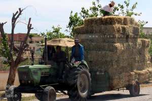 Relizane : 200 bottes de foin ravagées par les flammes à Mendès