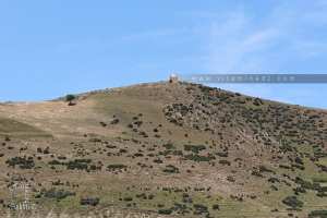 Saint marabout perché dans une montagne à l'entrée de Rahouia (Tiaret)