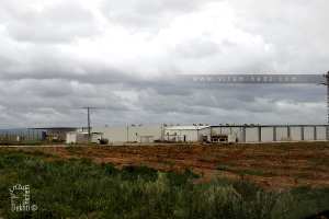 Ferme Moderne El chahid Bendaida, Boukhenefis, Sidi Bel Abbes