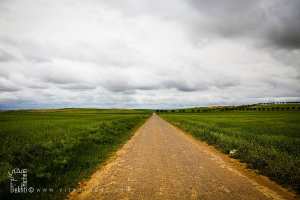 Piste au milieu des champs allant vers Boukhanifis (W78)