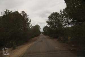 Une partie de la forêt de Tenira sur la route W78
