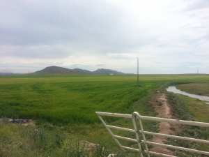 أولاد بوطارة من مظاهرالطبيعة