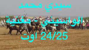 وعدة سيدي محمد الواسيني - مغنية