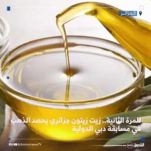 فاز منتج جزائري لـ #زيت_الزيتون من عين وسارة بولاية الجلفة