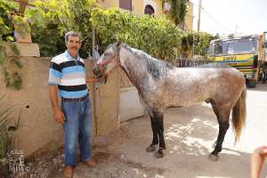 Makaddem devant son cheval à la waada de Sidi Bounouar