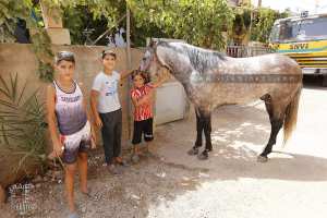 Enfants de Sidi Bounouar, (Remchi, Tlemcen)
