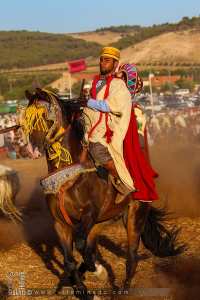 Cavalier avec cheval barde à la waada de Ain El Berd