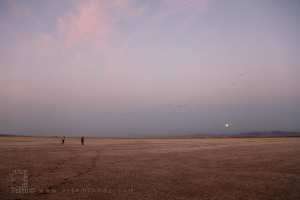 Grande Sebkha d'Oran