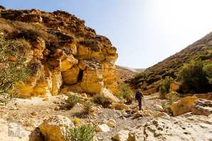 Oued Bouster menant vers canyon Tafraoui